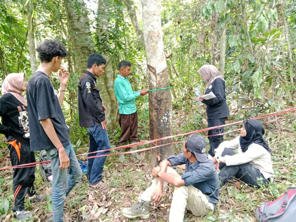 Pengukuran diameter dan tinggi pohon, identifikasi jenis vegetasi, serta pencatatan titik koordinat menggunakan GPS oleh Mahasiswa Tim Riset dan Pemerintah Nagari. (Foto: Tim Riset)